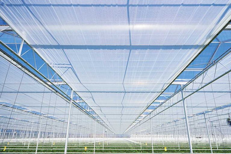 5 Advantages of Using Energy Curtains In Your Greenhouse
