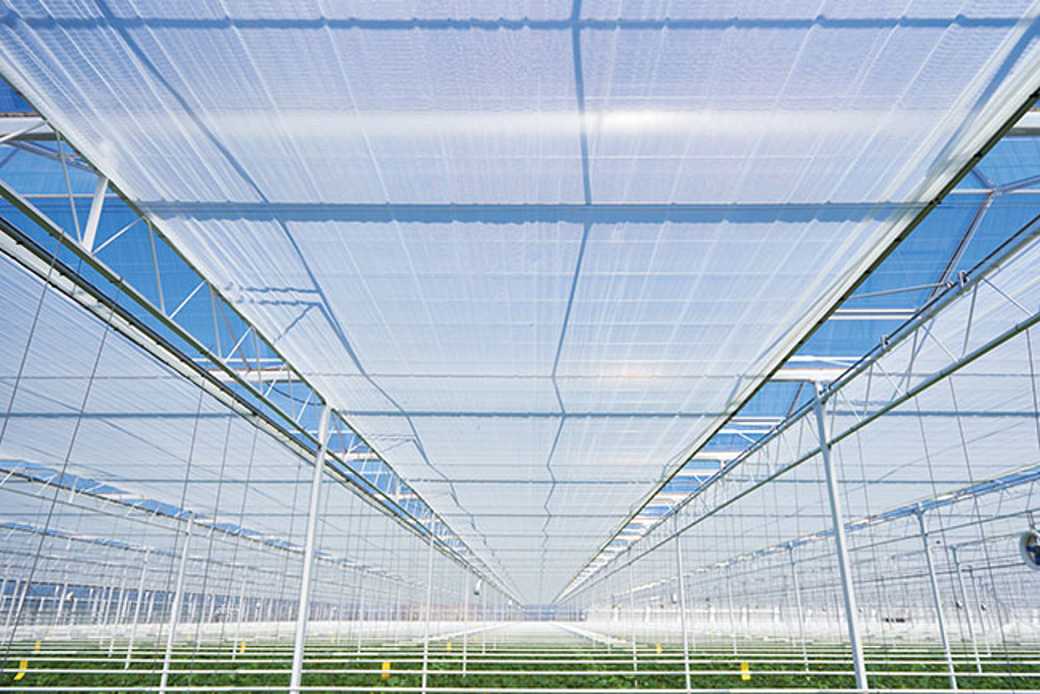 Energy Curtains In Your Greenhouse